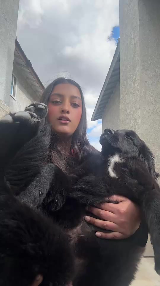 @Komal_K