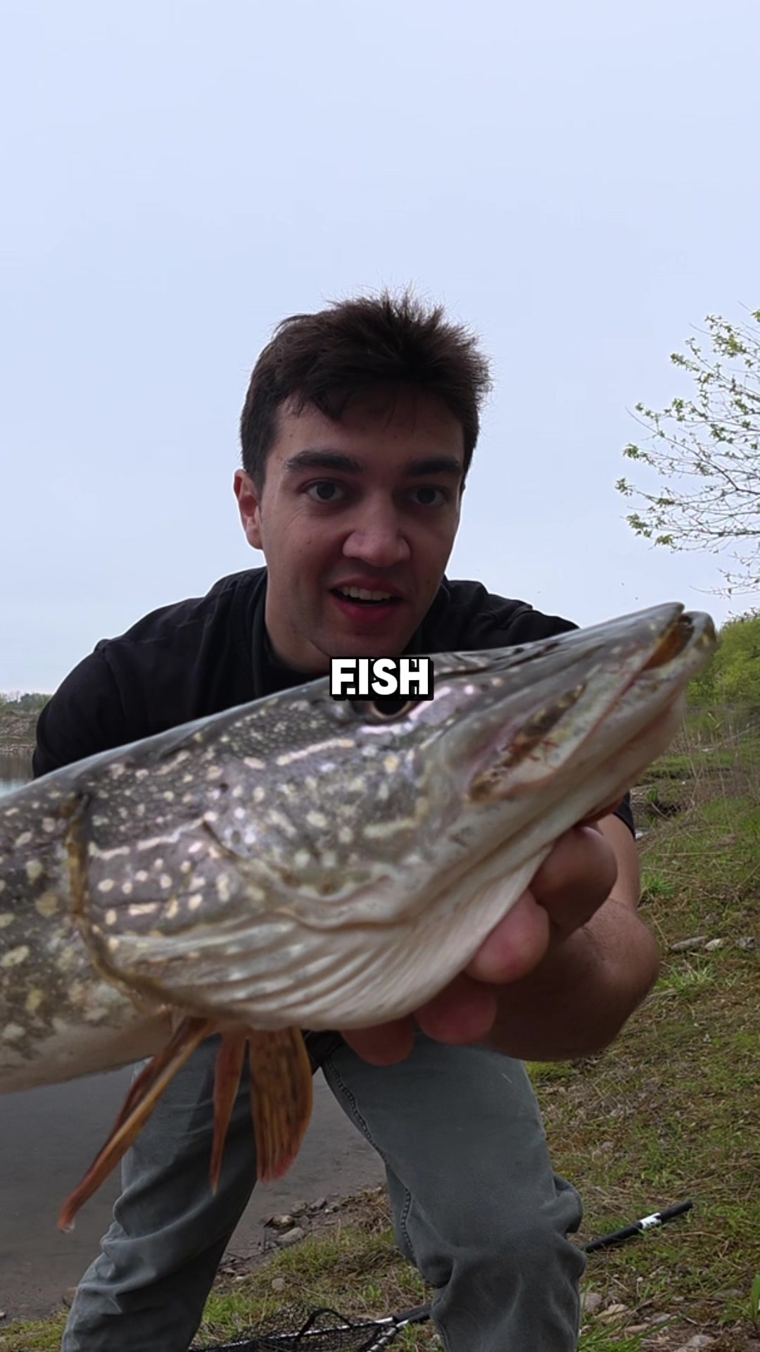 @JlangFishing