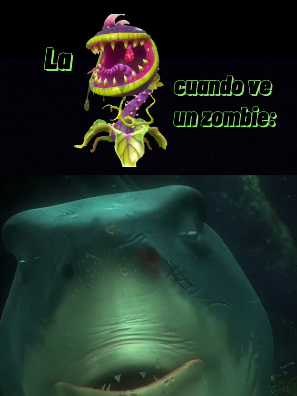 @@ngriva