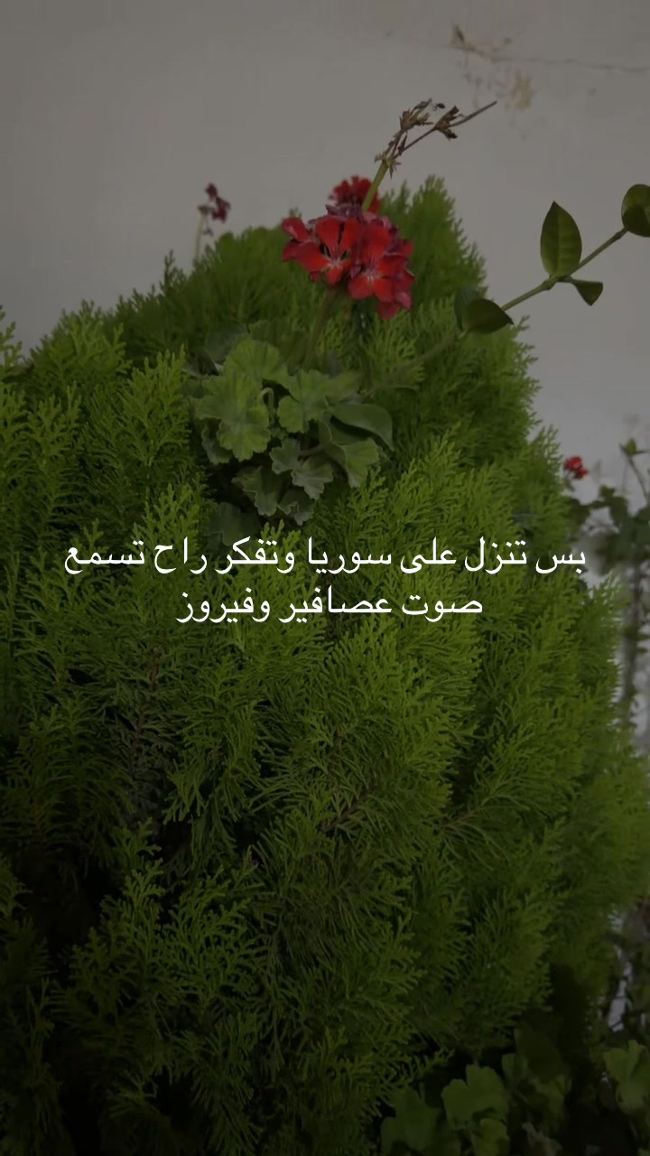 @Om hadi
