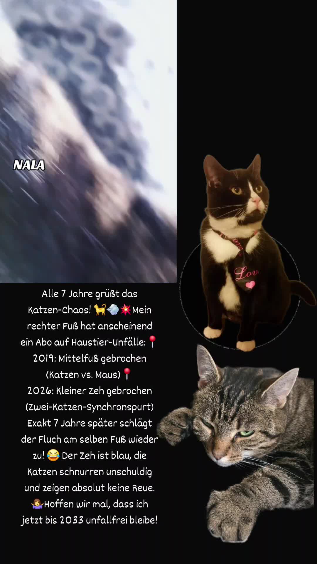 @🖤🖤🖤 Ca Si 🖤🖤🖤