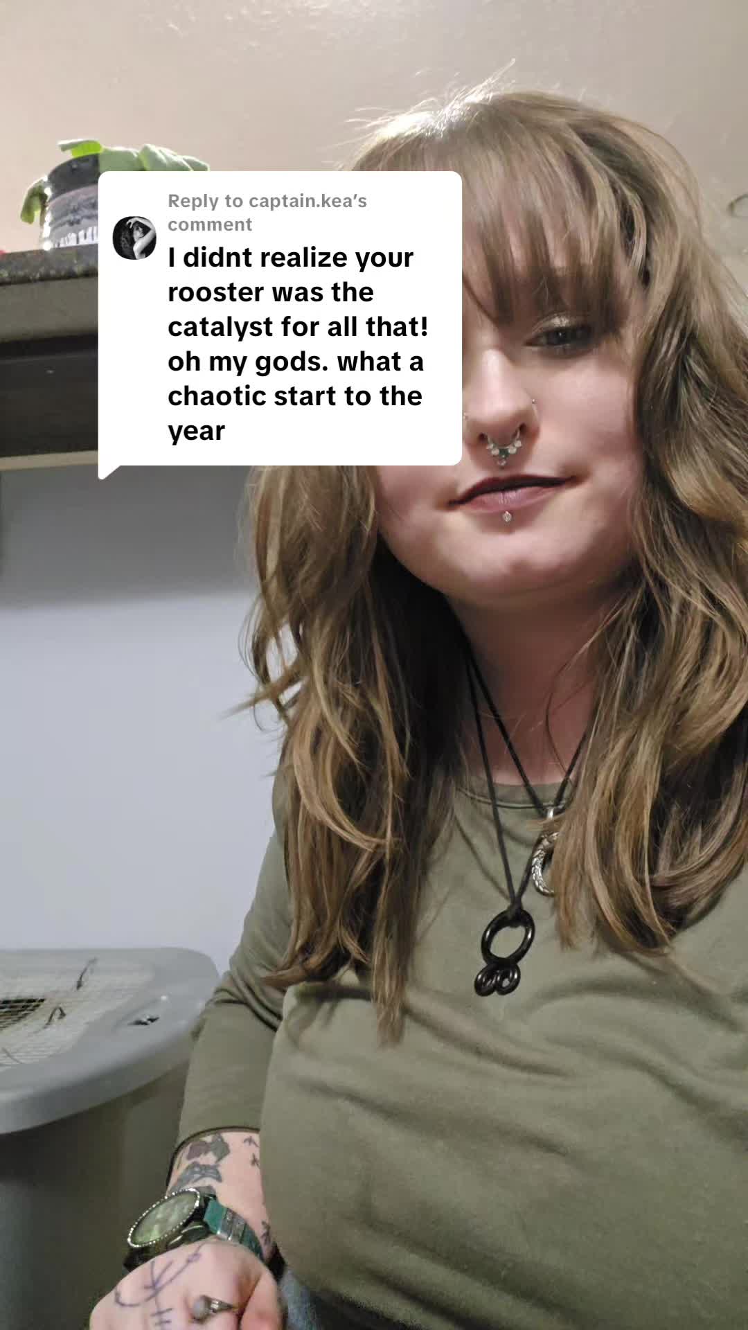@Elvi Bl&oacute;mgren