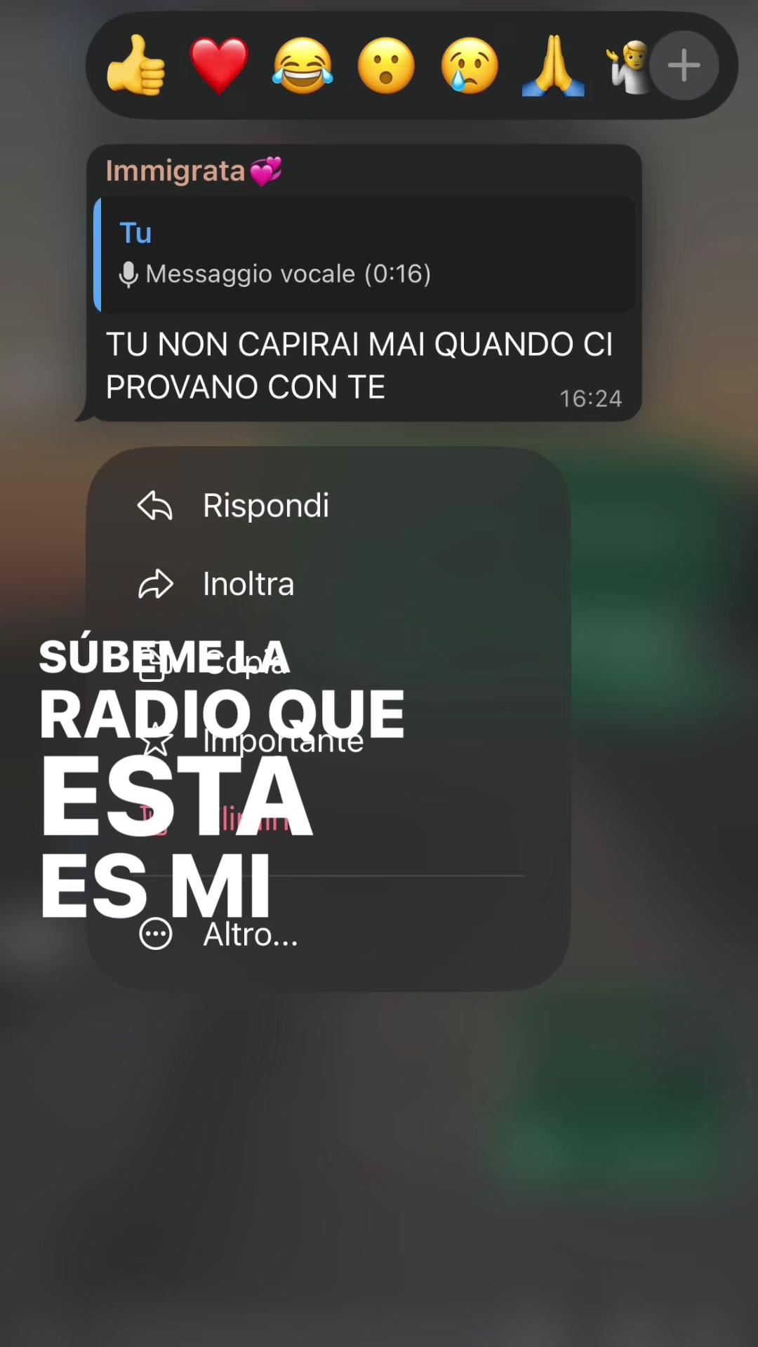 @spamjajaa