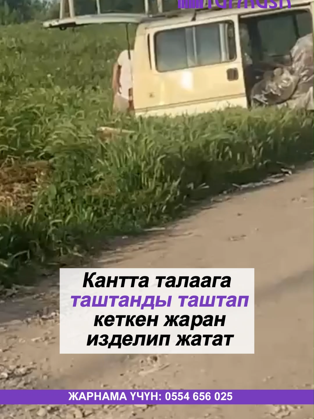 @turmush.kg__