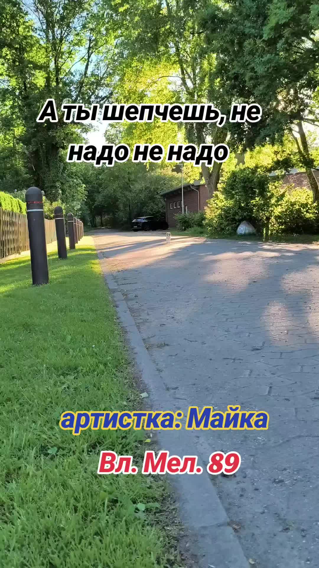 @Вл. Мел. 89