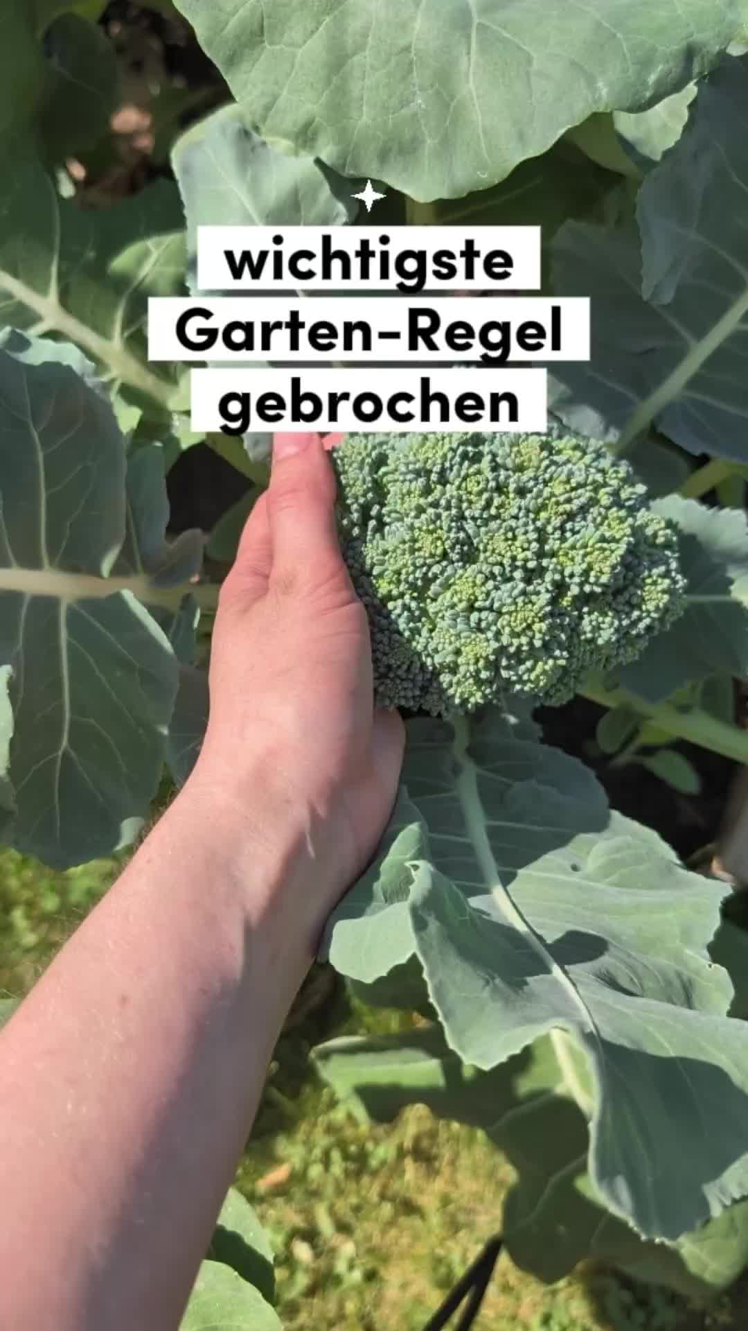 @ErnteExperte
