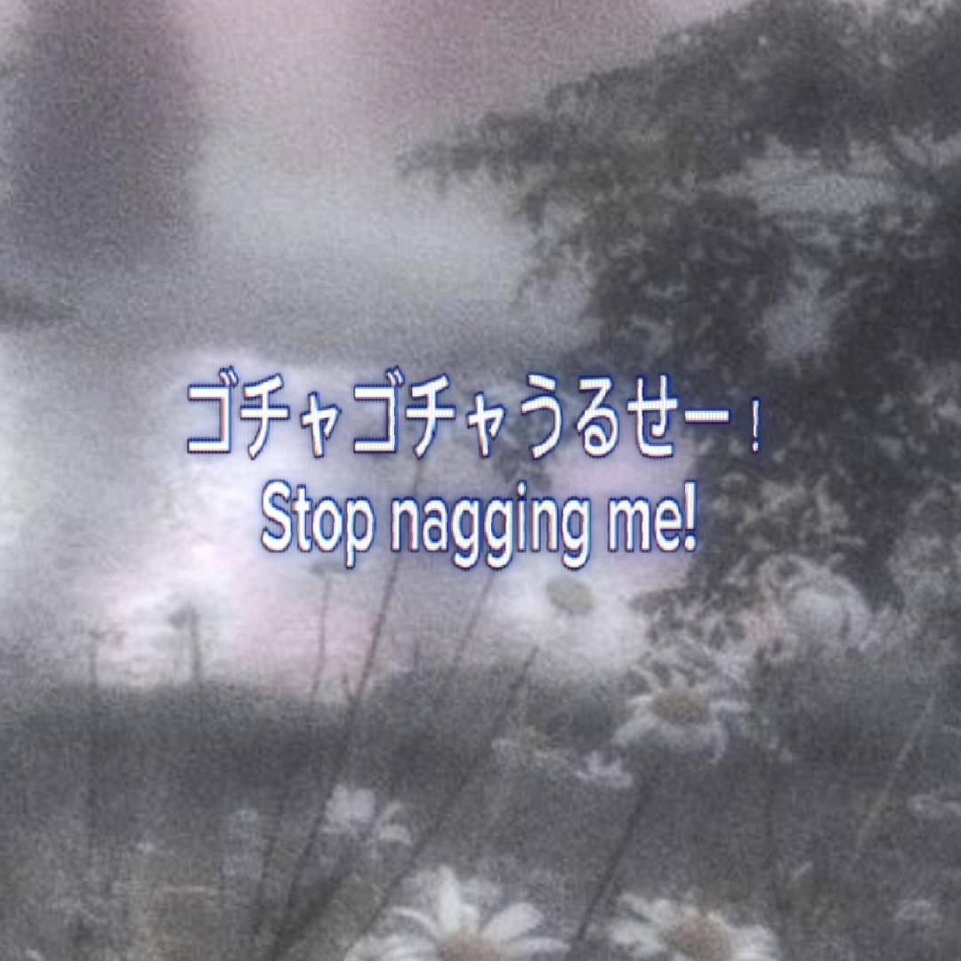 @ʕ &bull;ᴥ&bull;ʔ