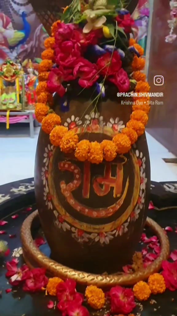 @teji_shahzadpuri
