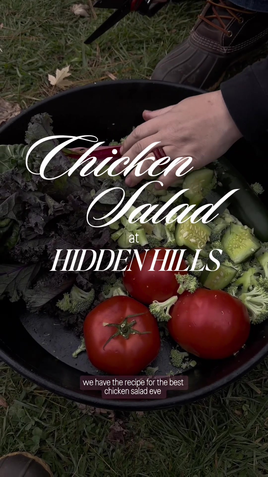@hiddenhillsequestrian