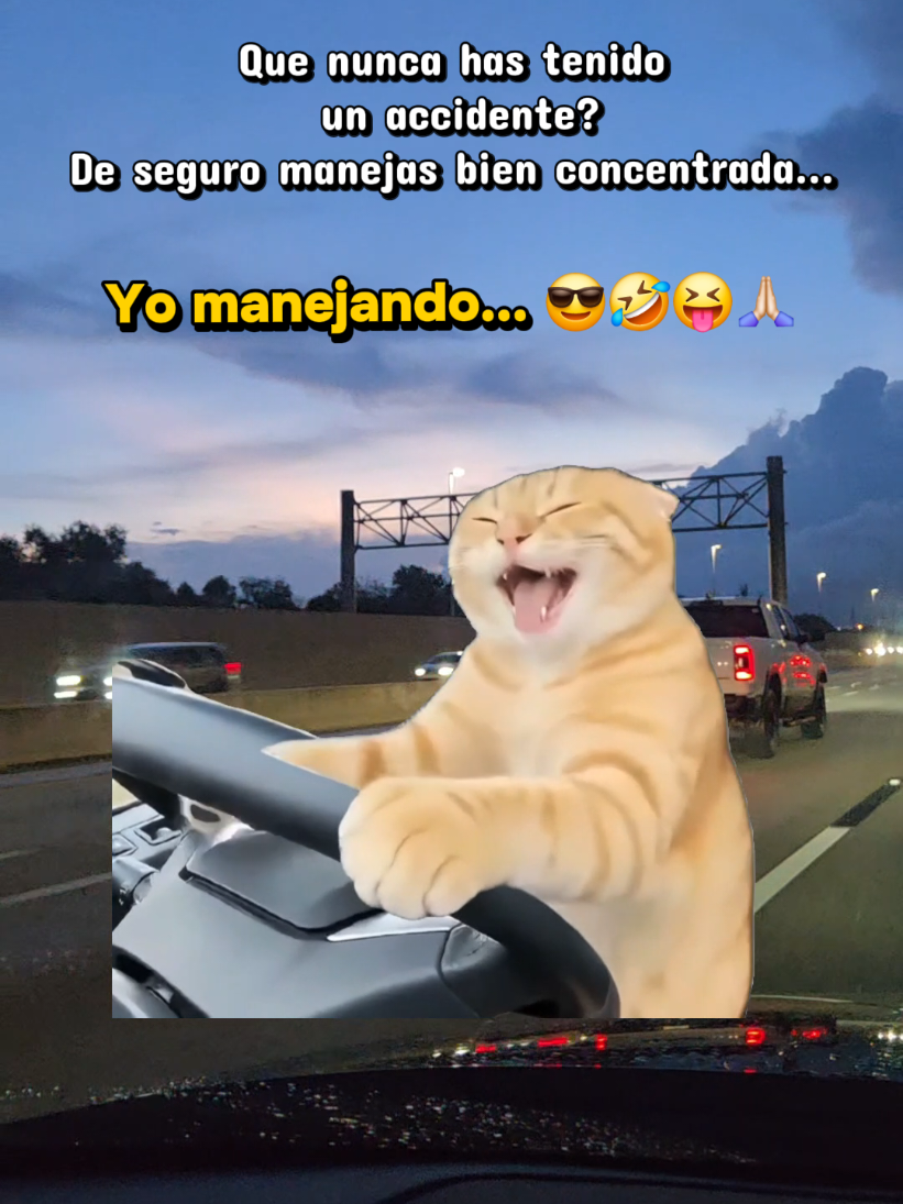 @Ley