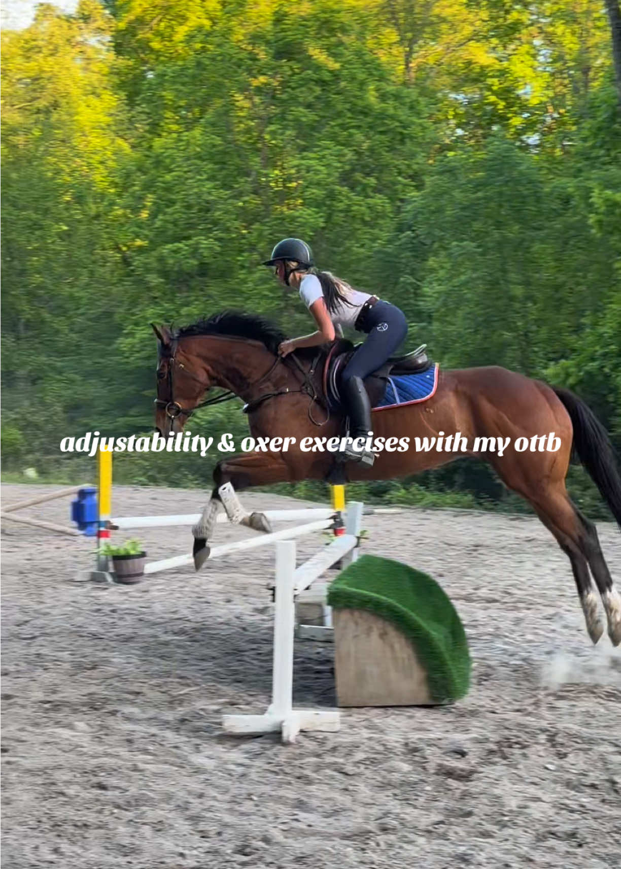 @Lunar Hill Equestrian
