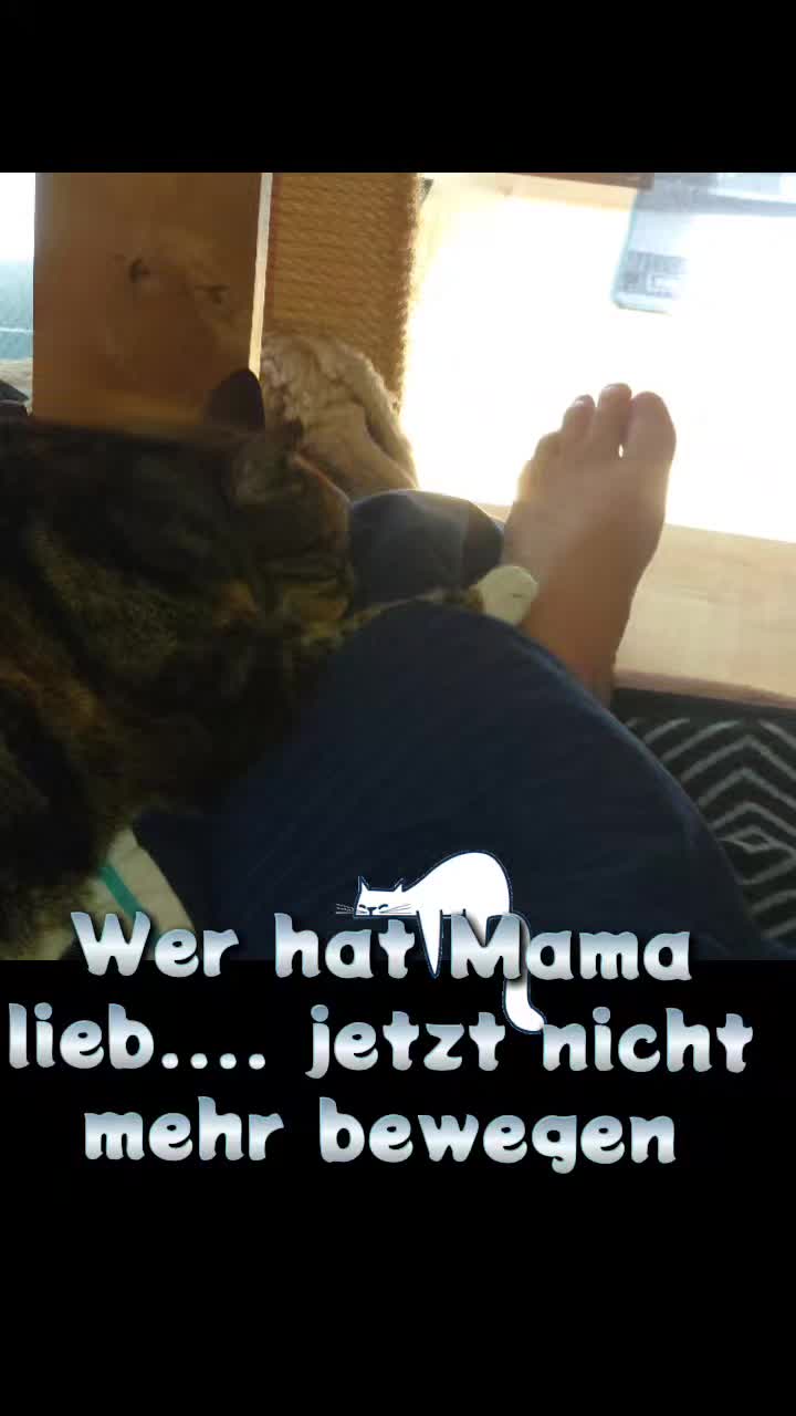 @zahnzaubermaeuschen