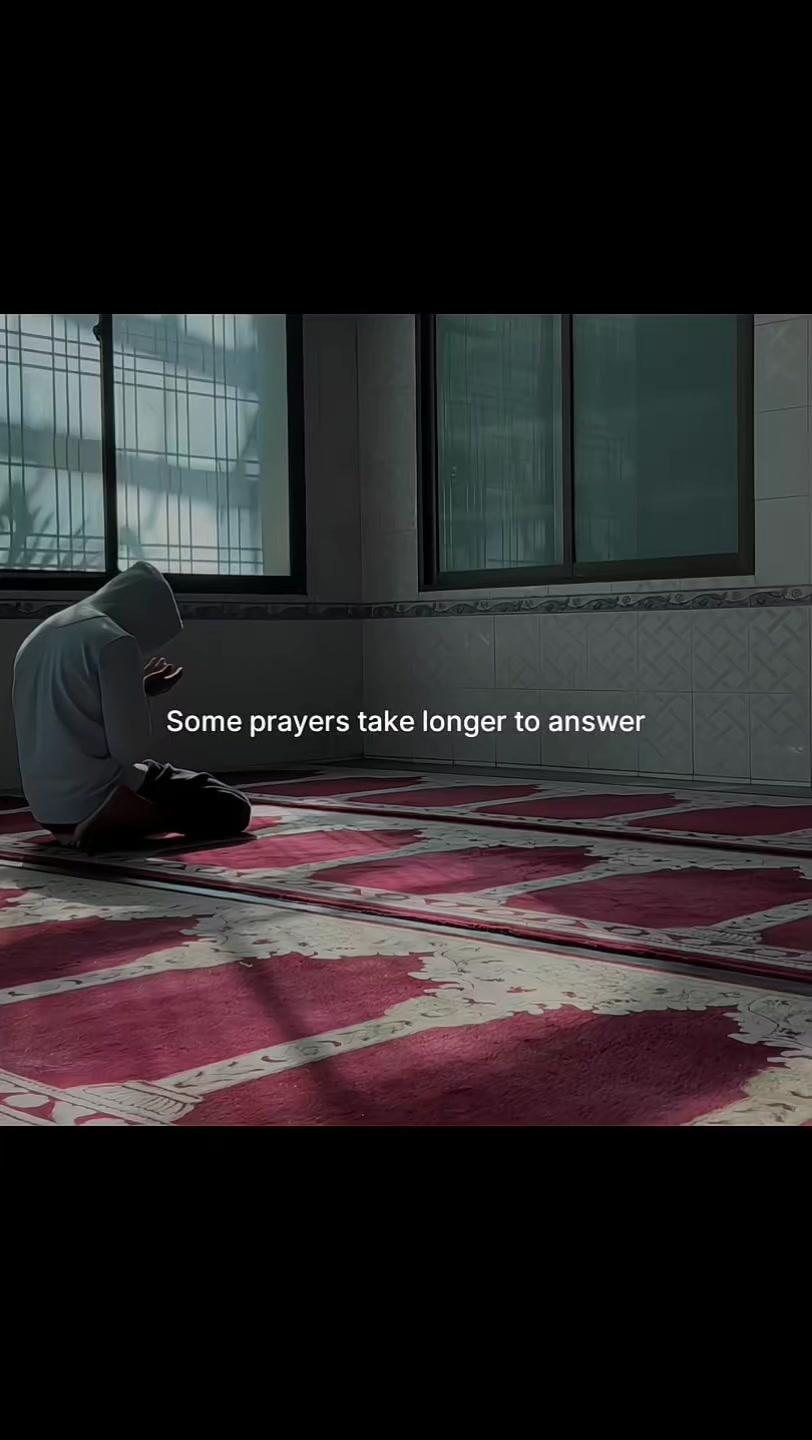 @Halal Mohsin