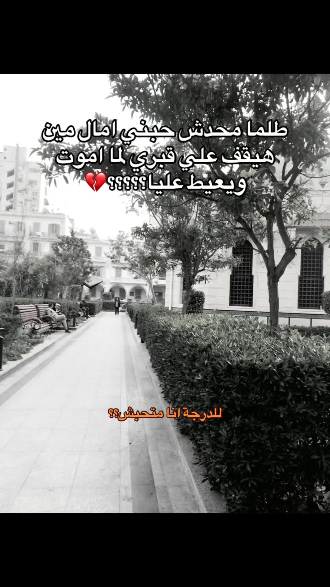 @✨💗🕷بنت بورسعيد🕸💗✨