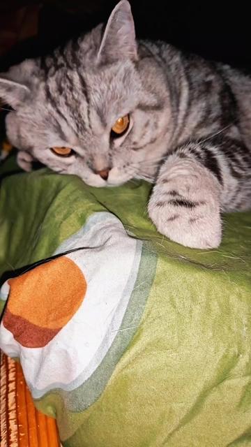 @"не"много с приветом😈