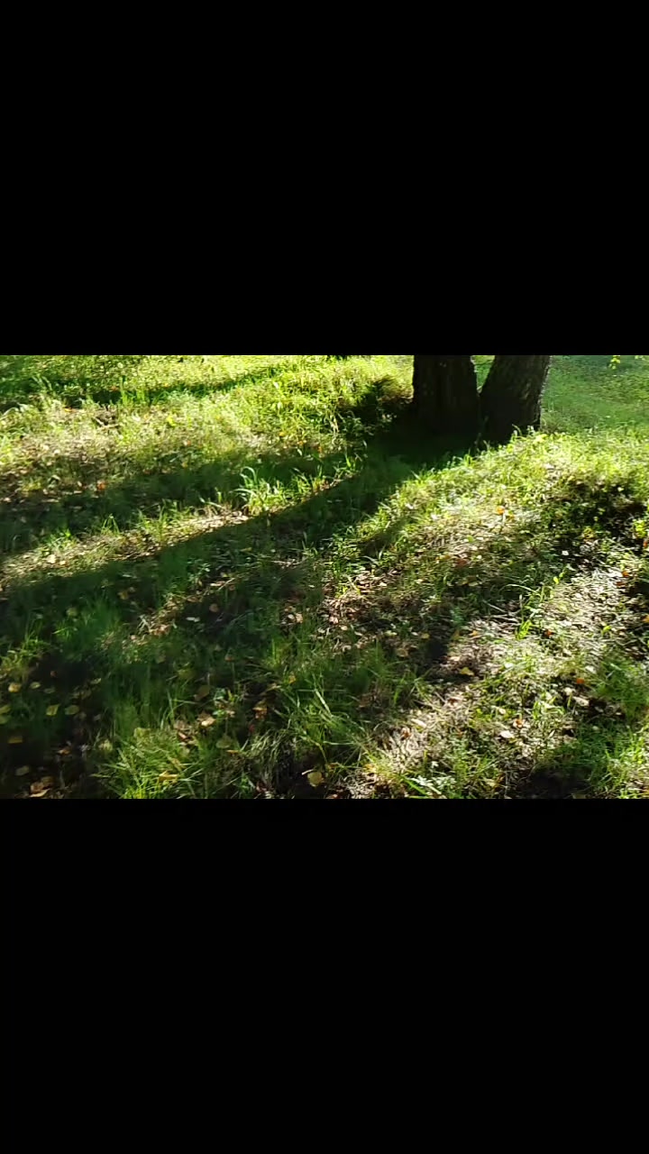 @З