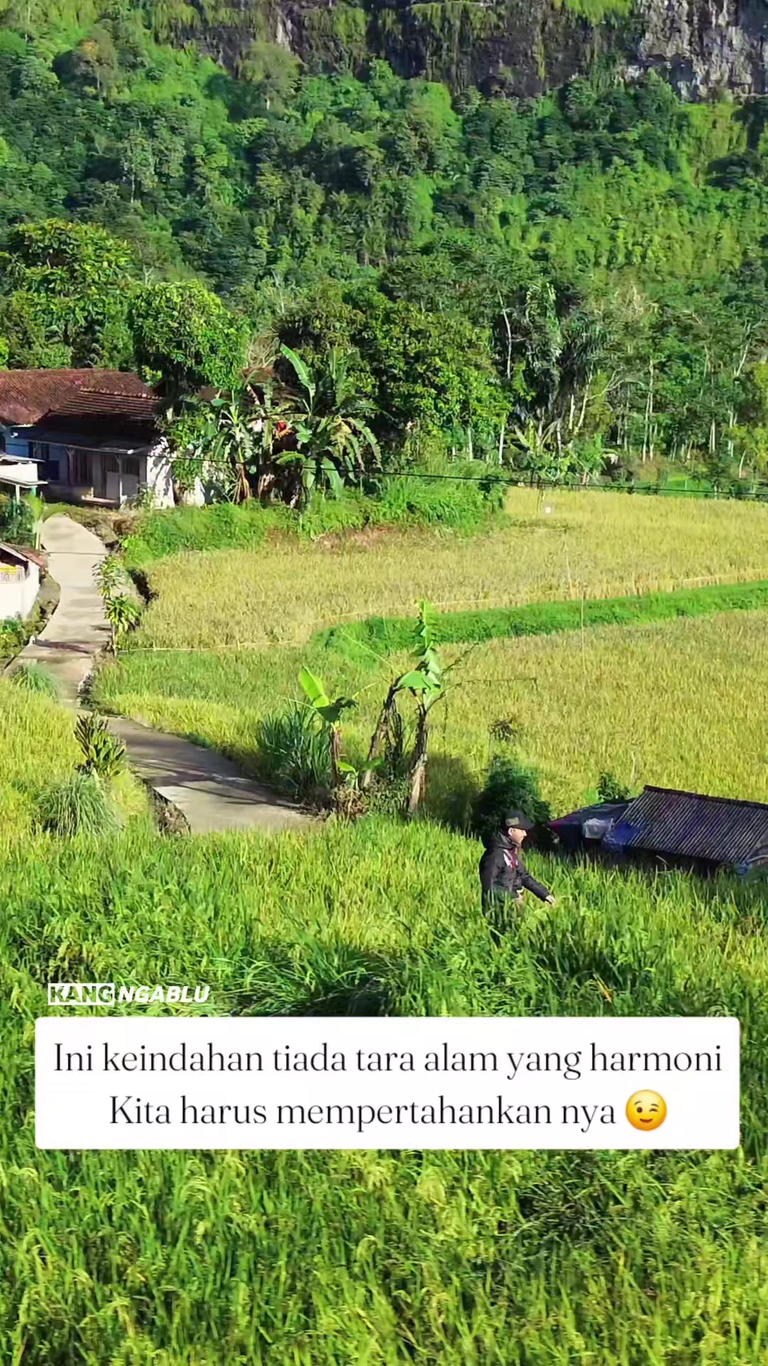 @kang ngablu