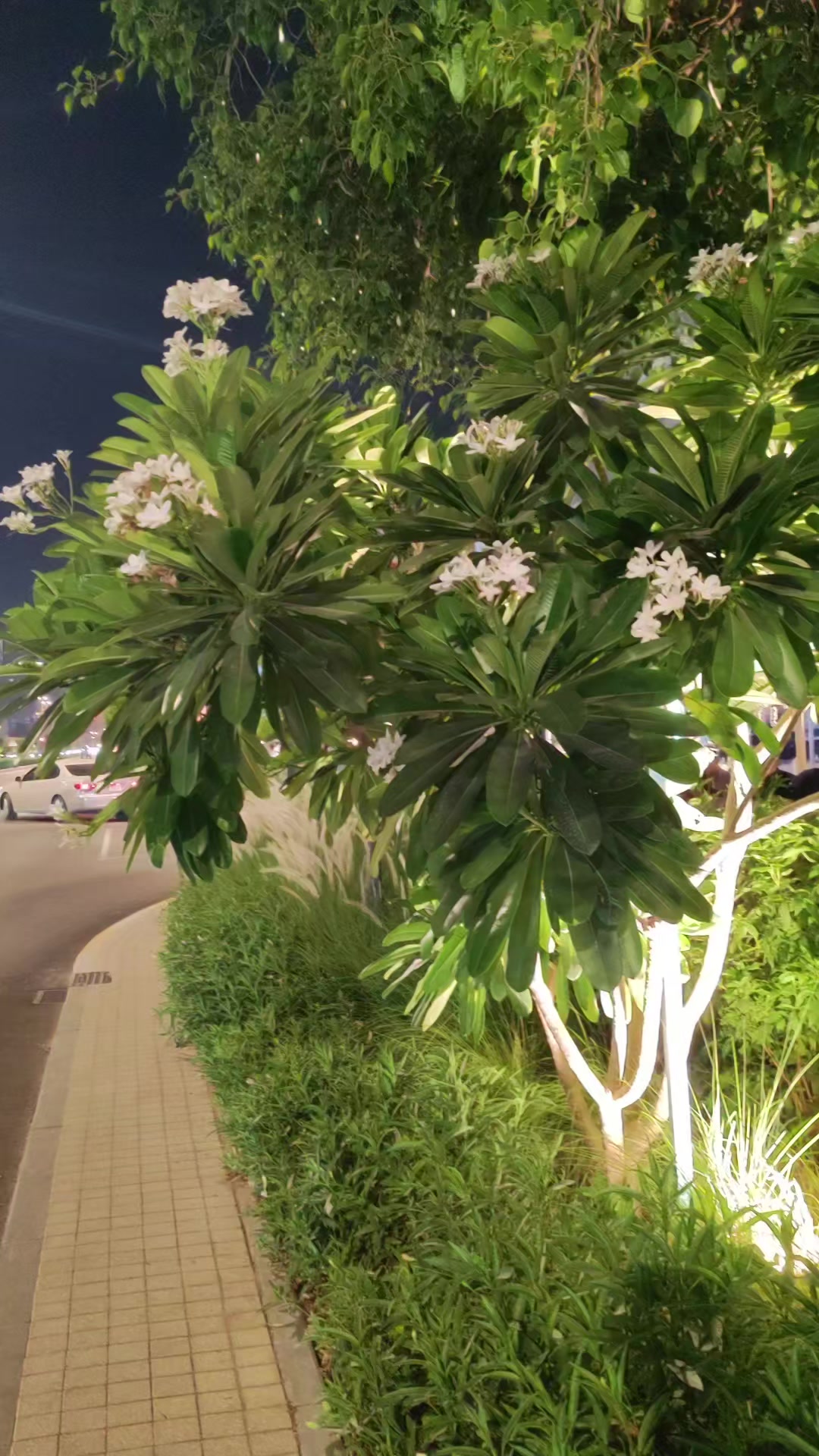 @Life iS better iN Green 🇦🇪