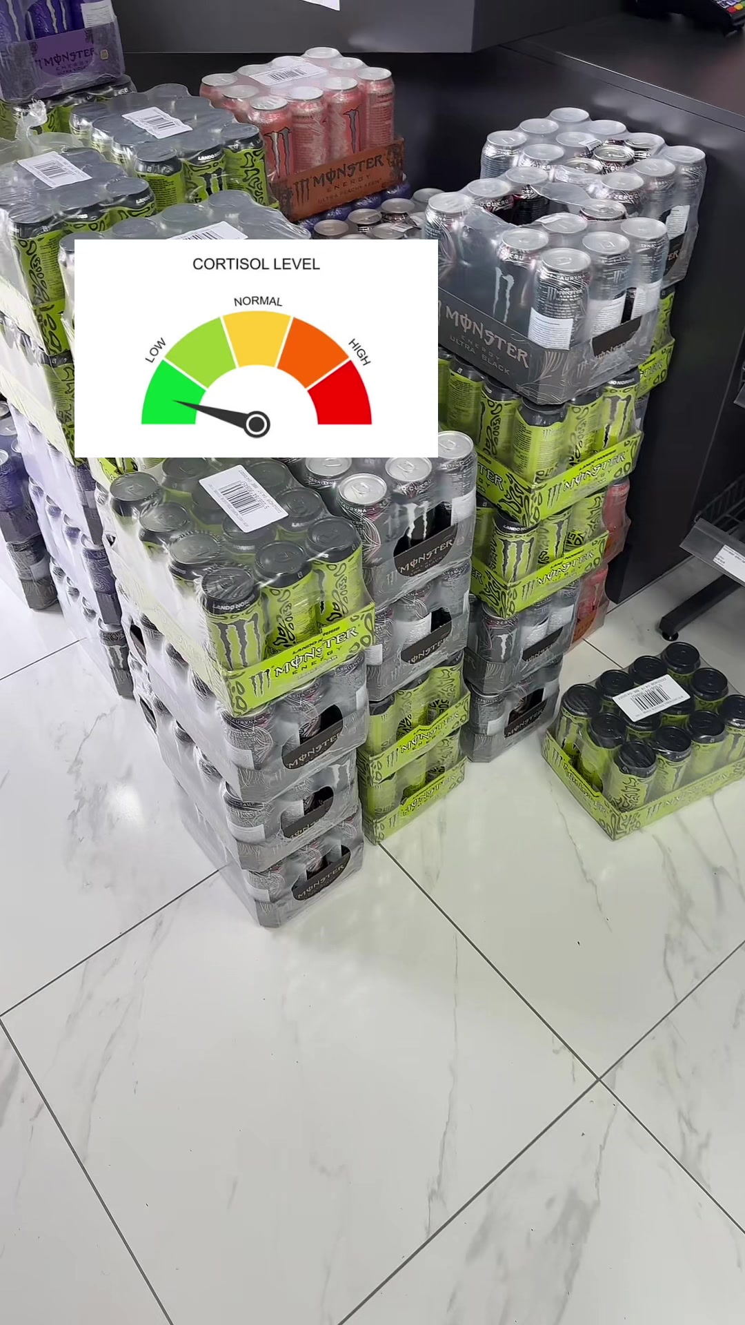 @nutrikong.hr