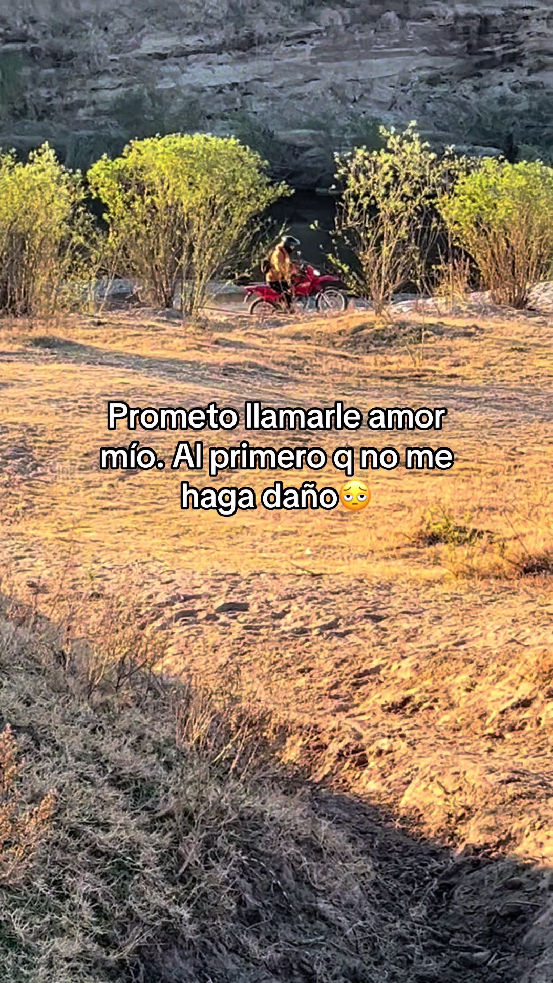 @sofii