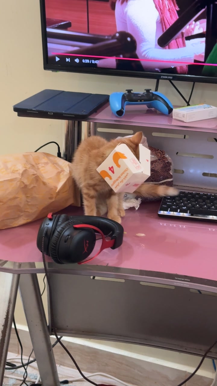 @3aslTheCat