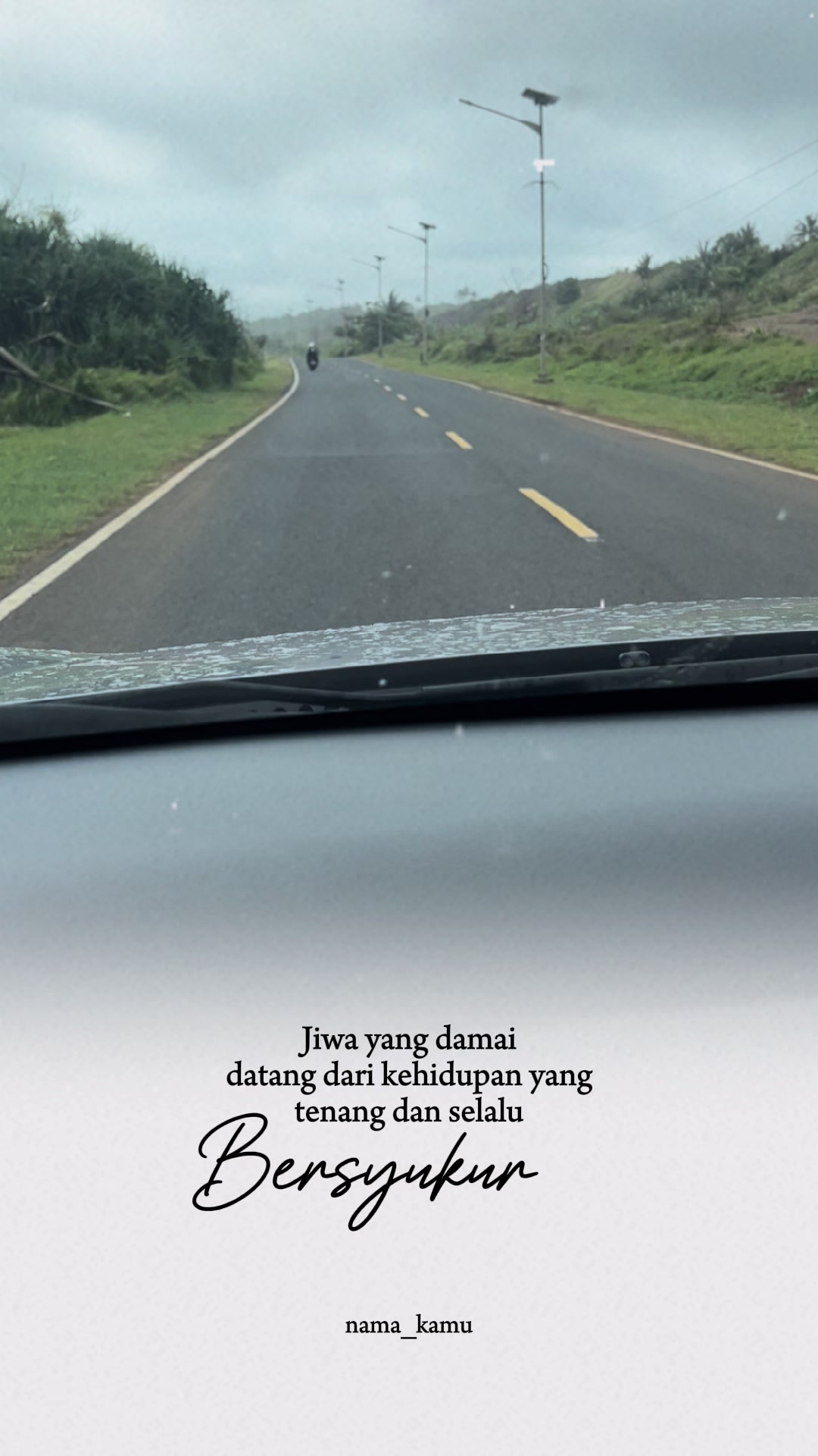 @koleksi.tanaman.hias