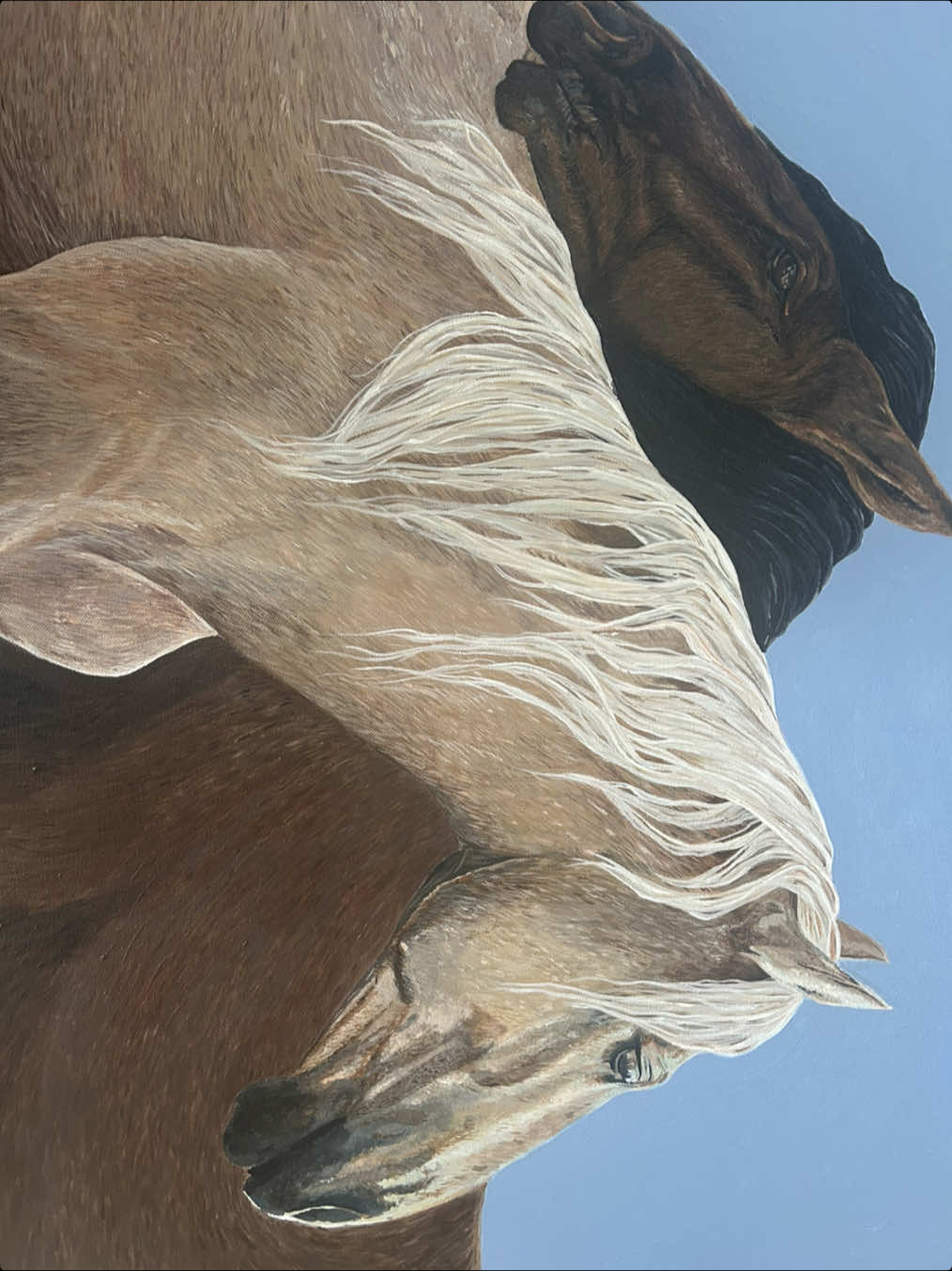 @Casey Moss | Artist