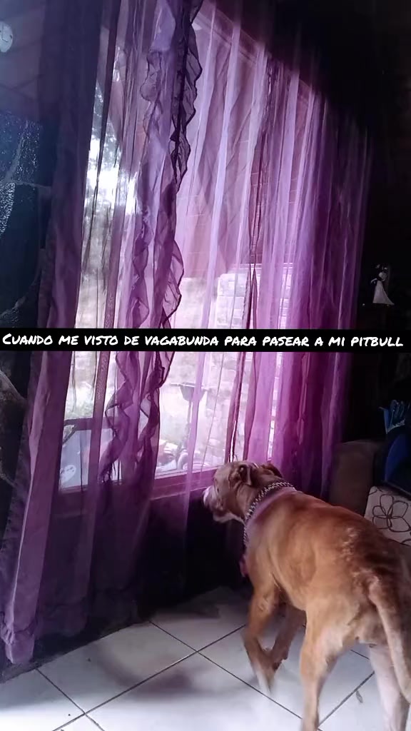 @Allisa182