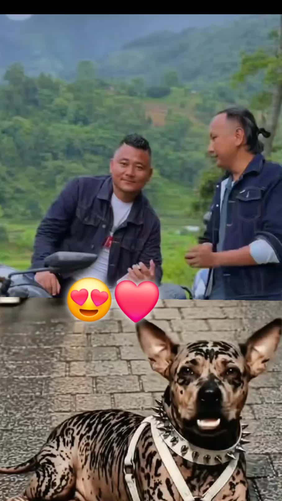 @👑 रतन लो tamang