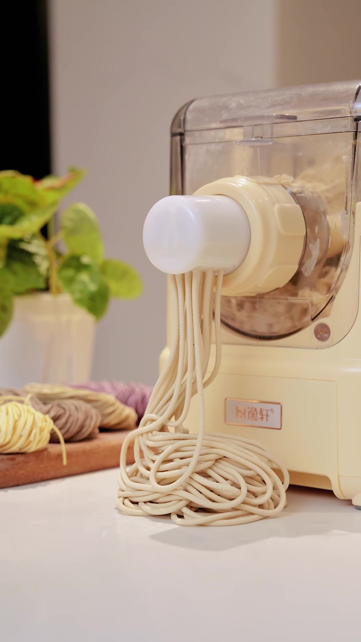 @Pasta maker factory