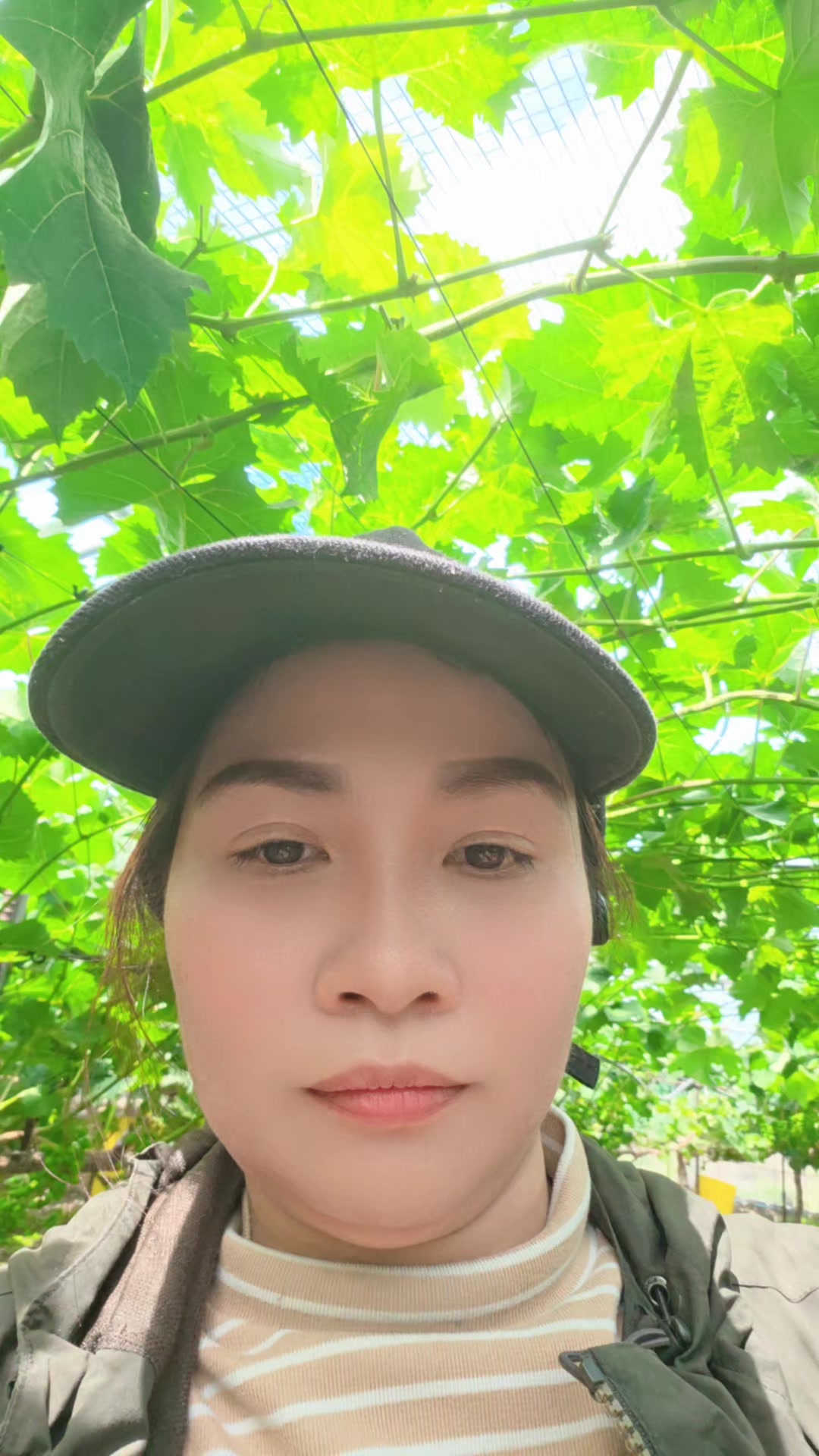 @cố quên tắt cả