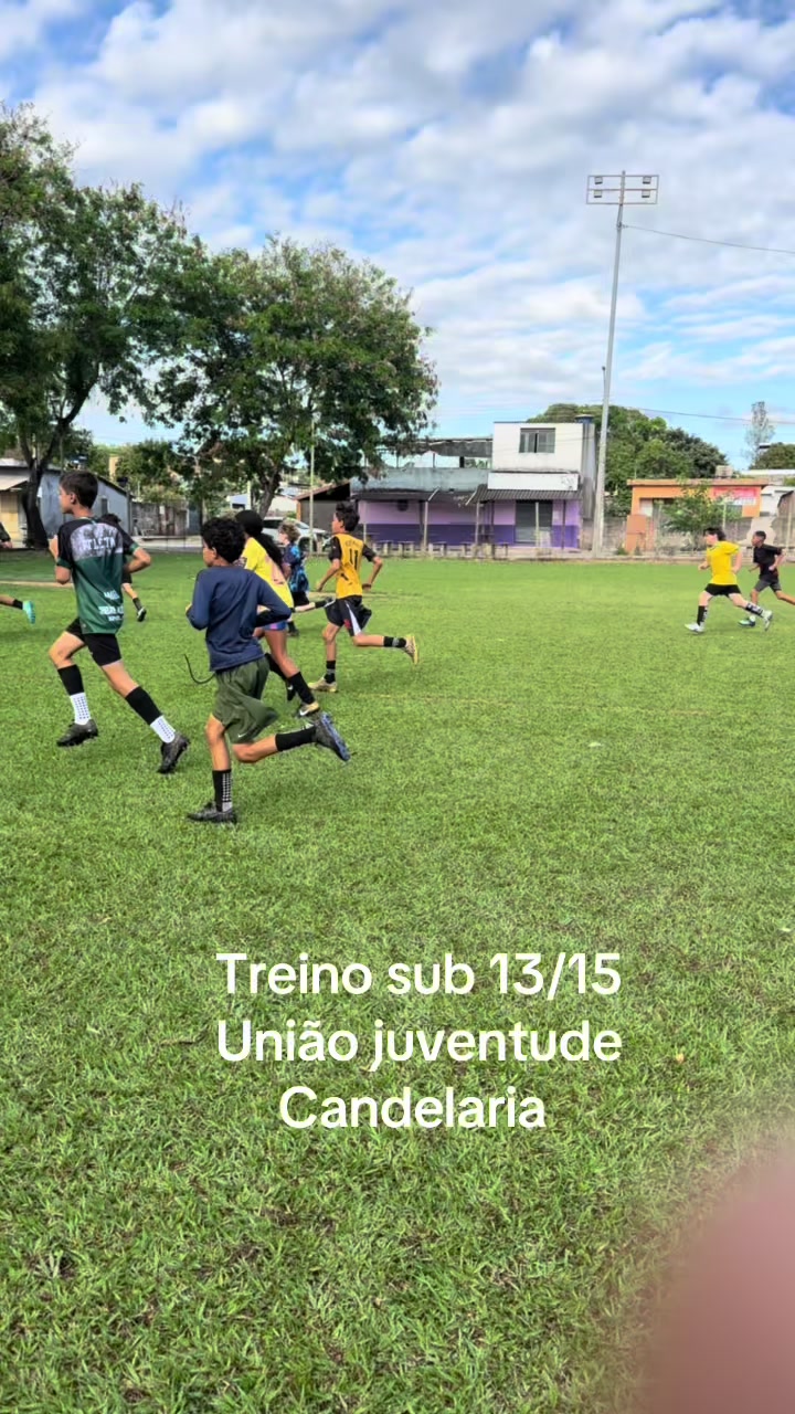 @Xandynho veículos