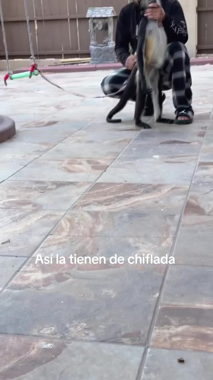 @Lorena Alvarez