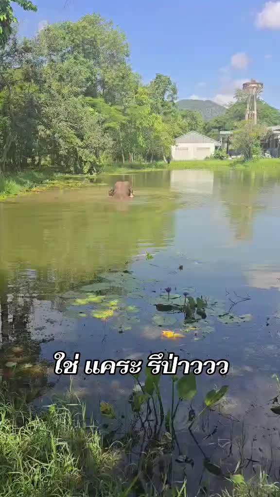 @เรียกเราว่า "วันใหม่"
