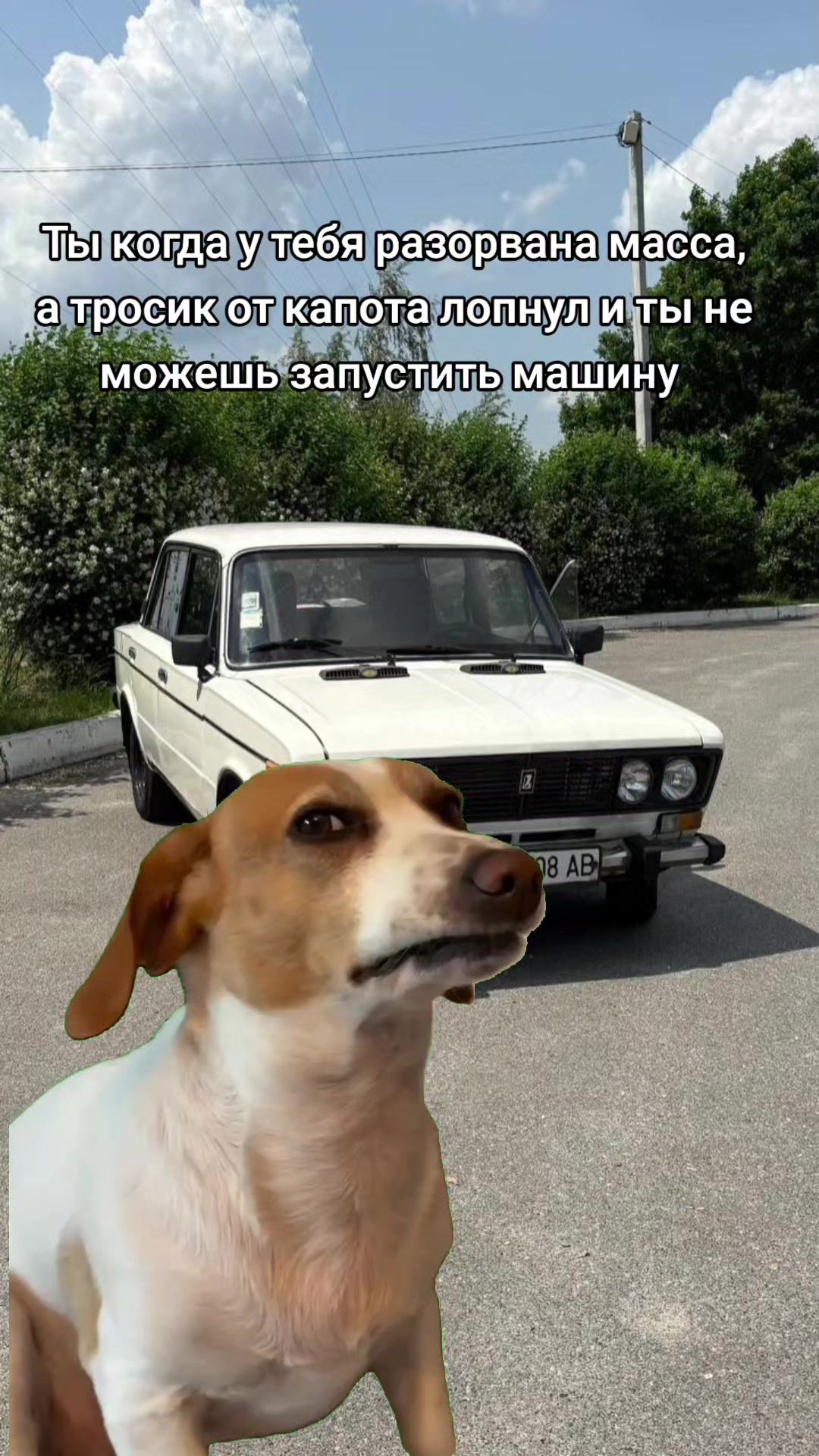 @Ярик Коваленко