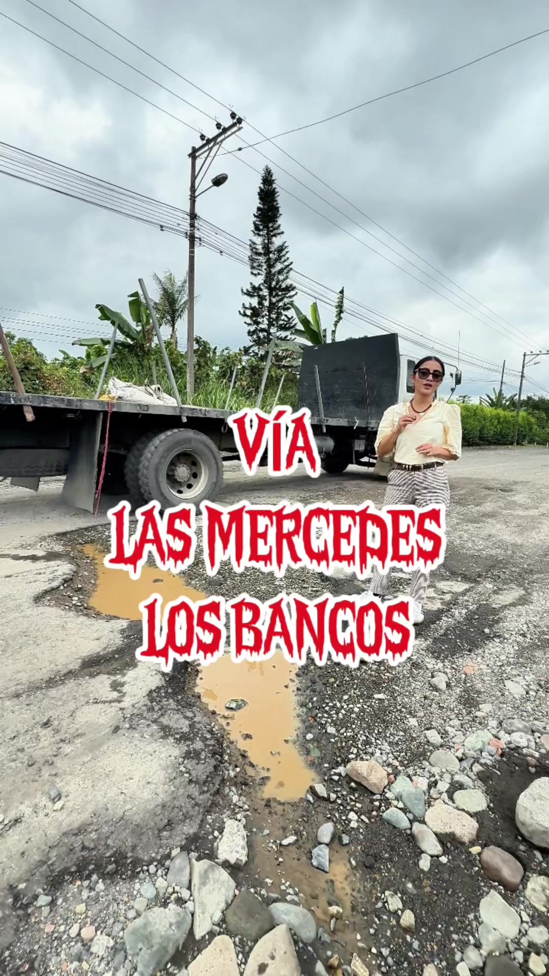@Viviana Veloz