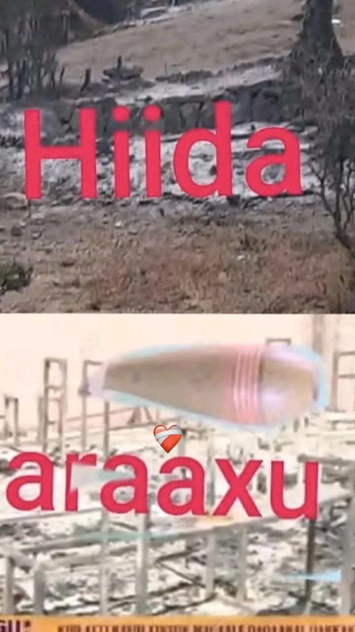 @𝘄𝗶𝘇🫡 𝗾𝗮𝗹𝘂𝘀𝗵 ✅ Yallo
