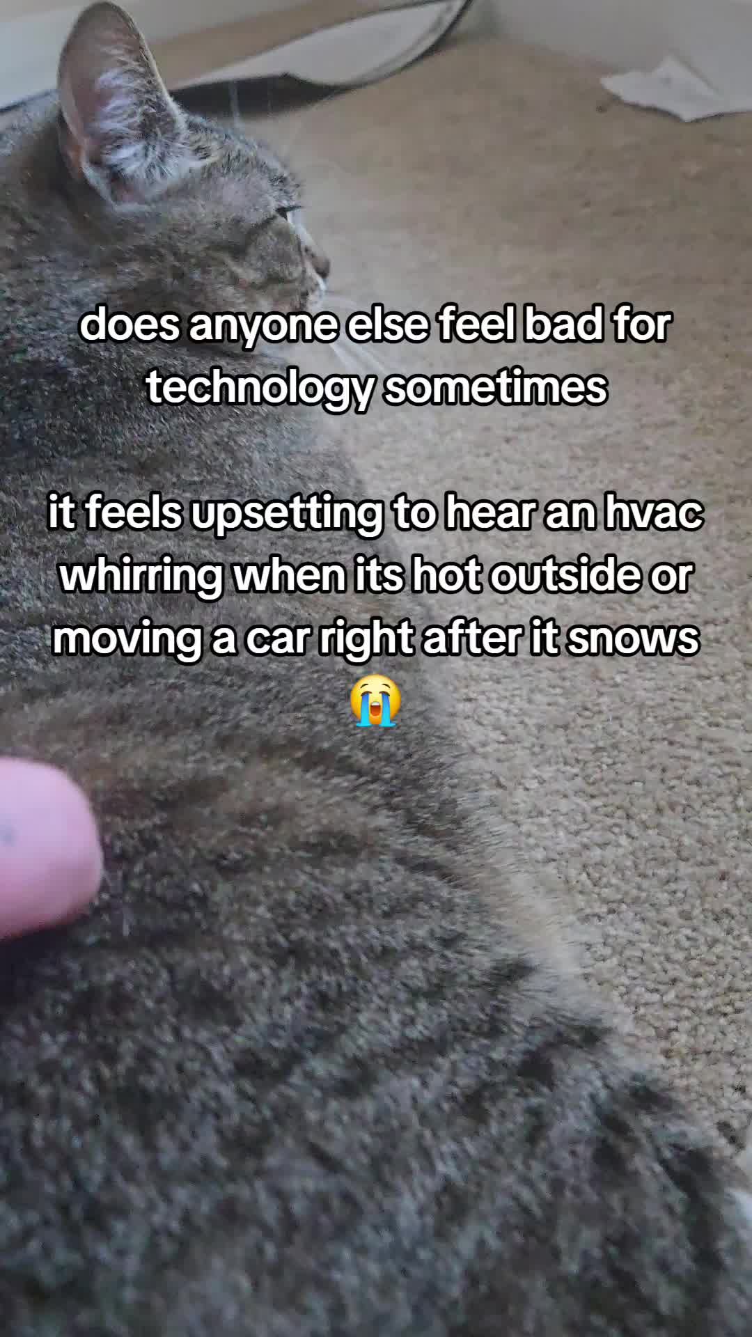 @PoochSnooch