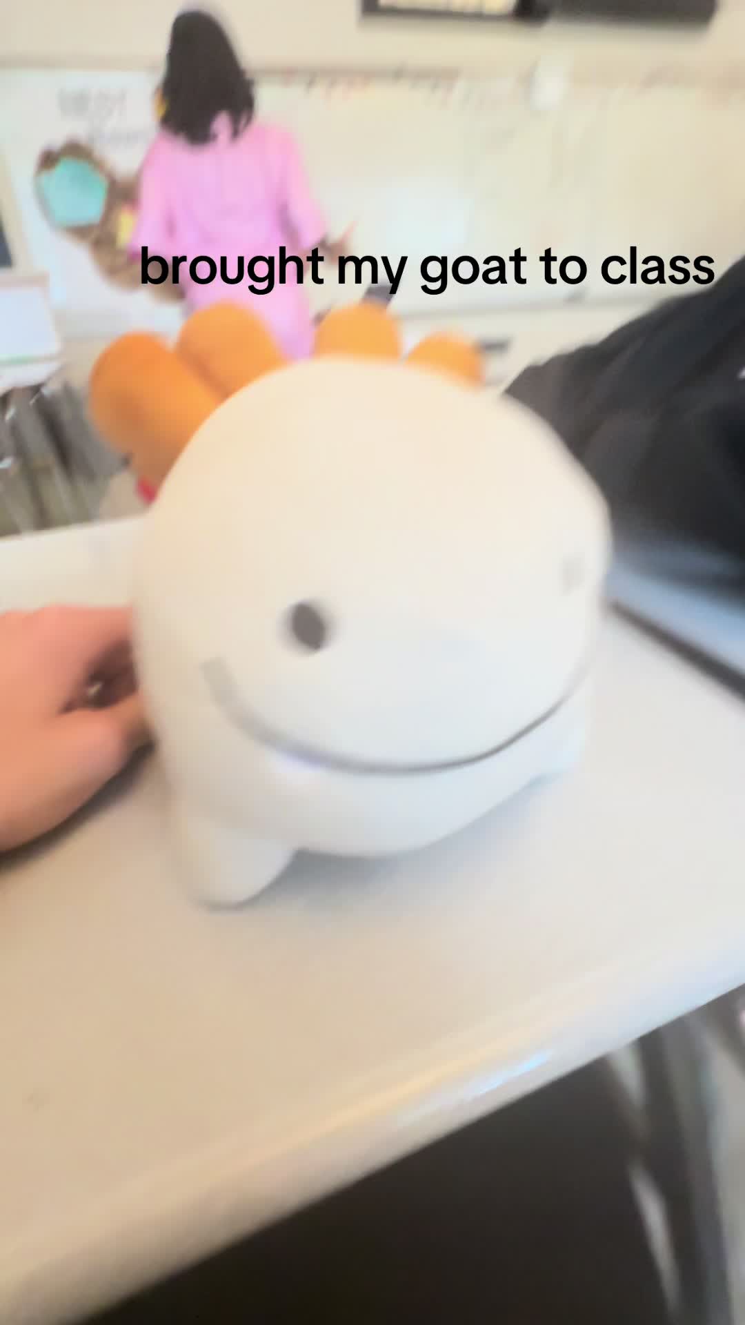 @V1 shrimp version