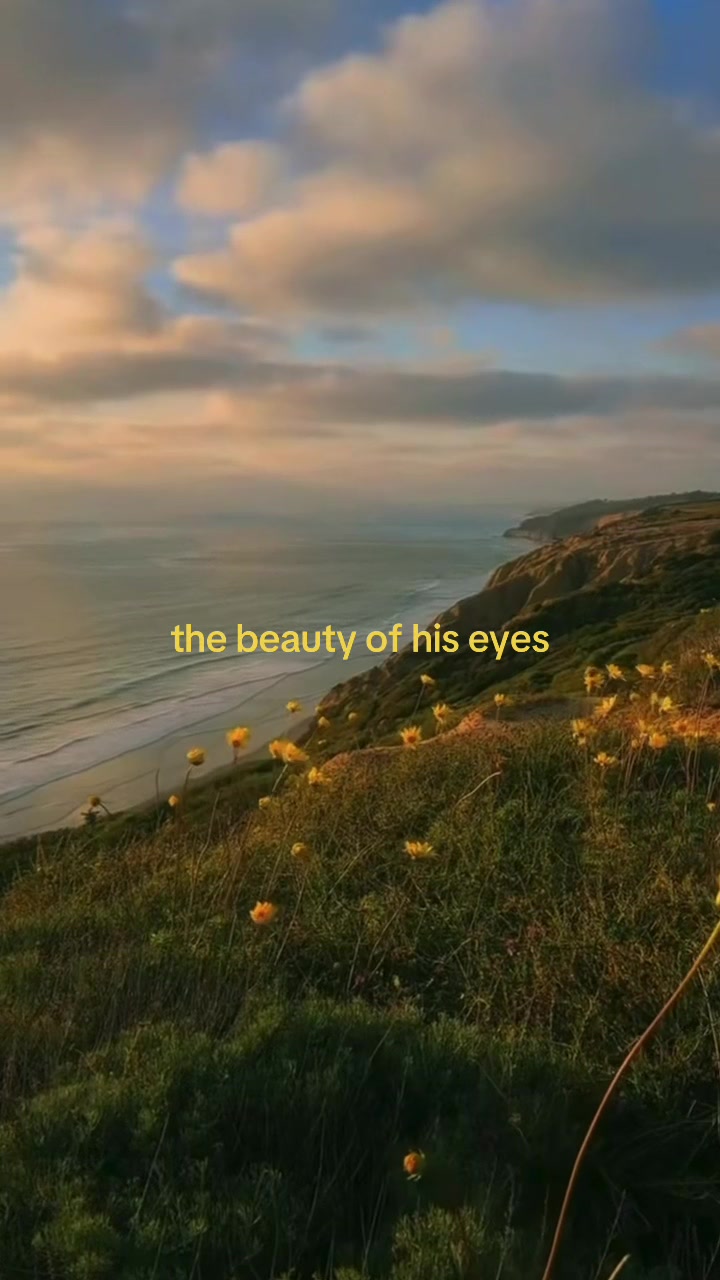 @Bitter𝒫ℯ𝒶𝒸𝒽