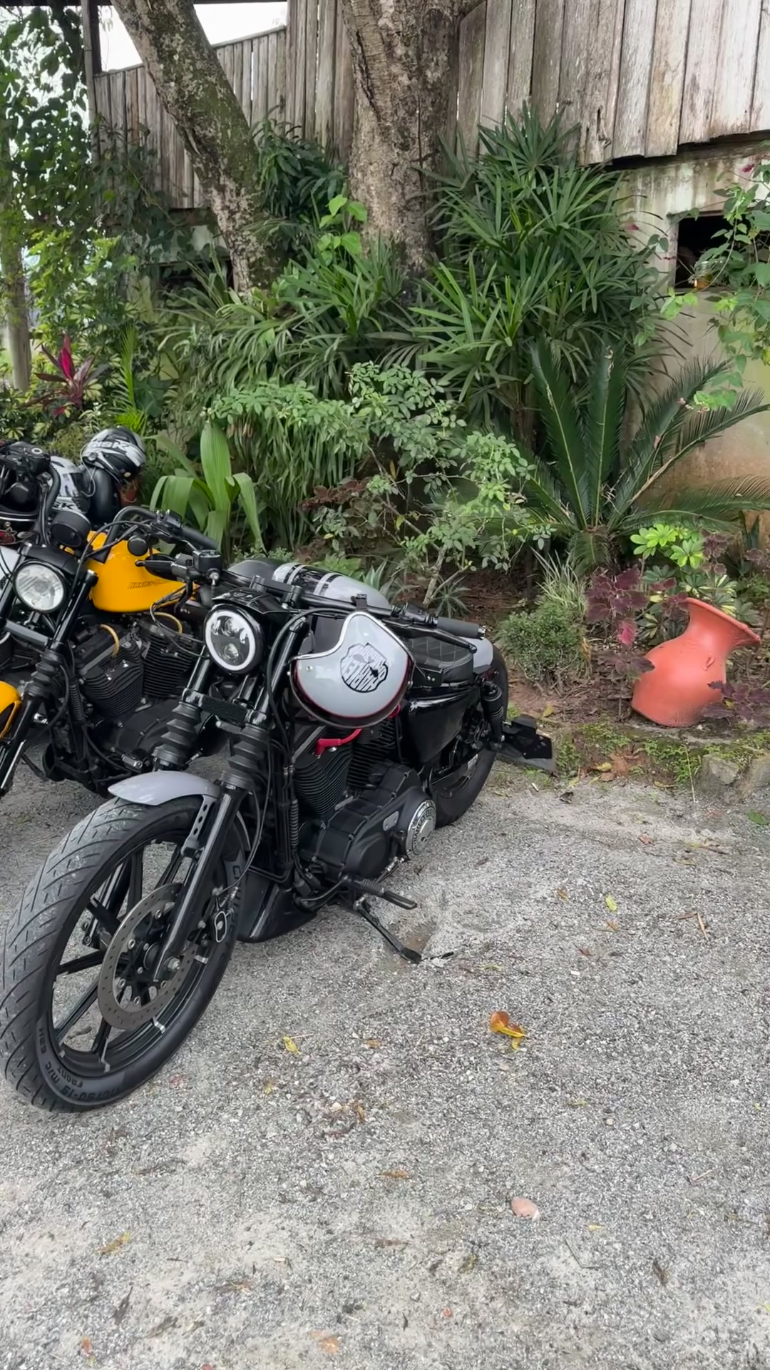 @Fabiano 883 bobber 🇧🇷