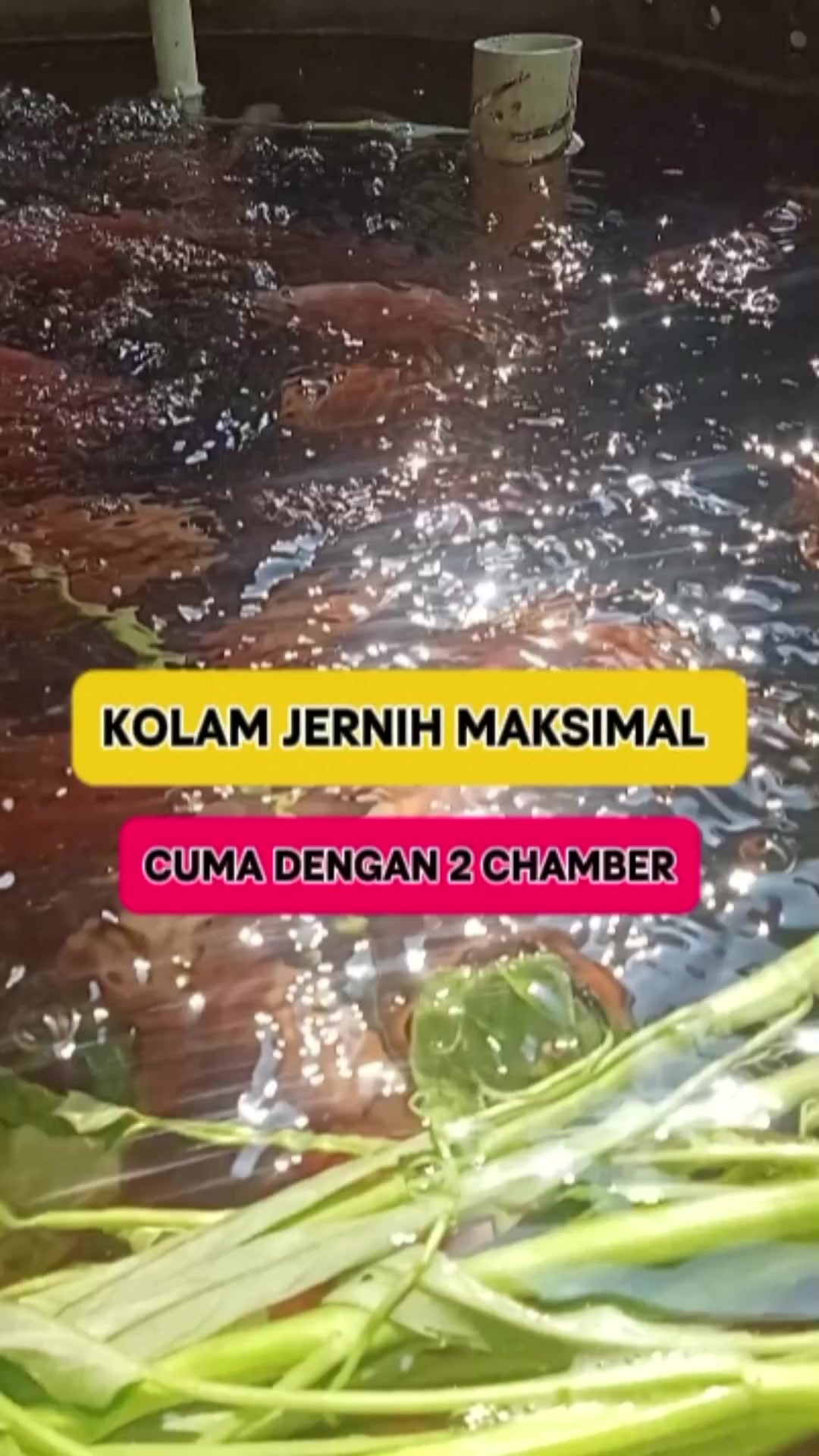 @Teguh Santosa