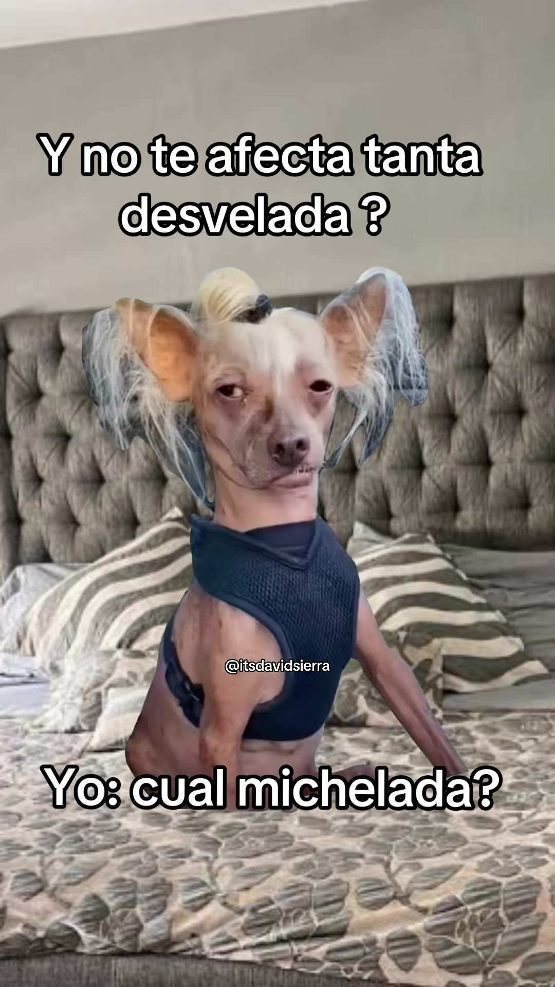 @ItsDavidSierra⚡️
