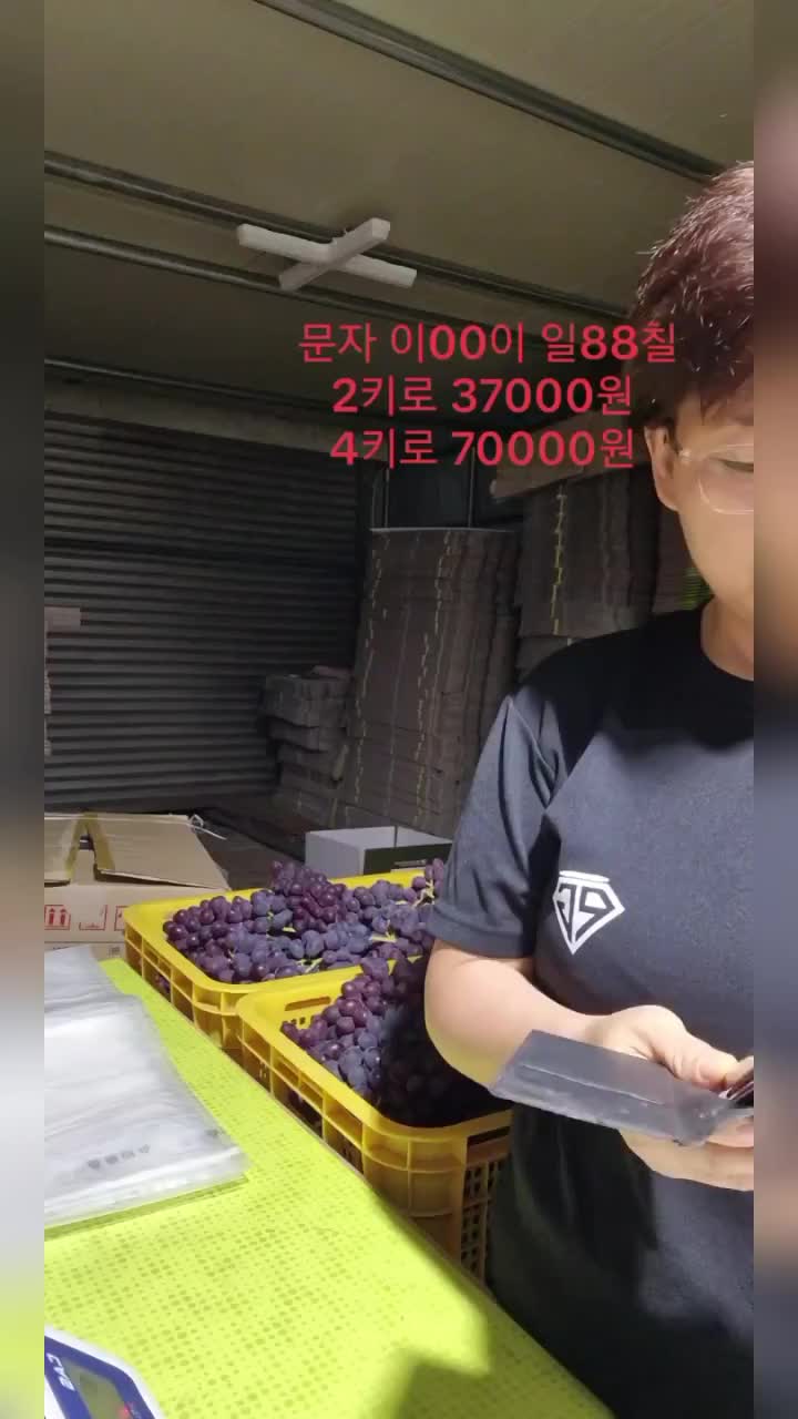 @진화포도원