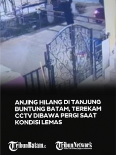 @Tribun Batam