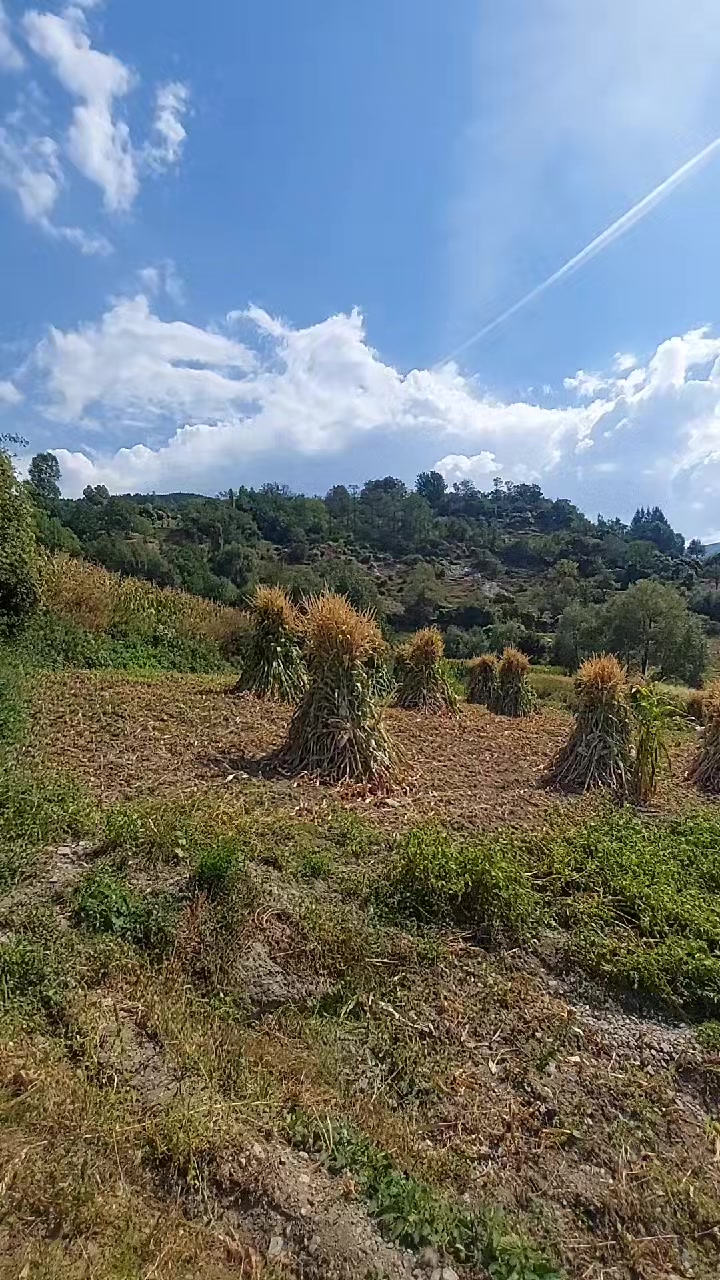 @Fshati_fshat😍