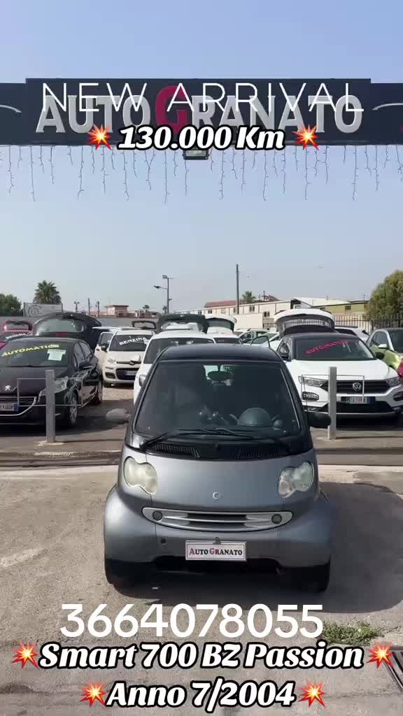 @Vito Minicooper
