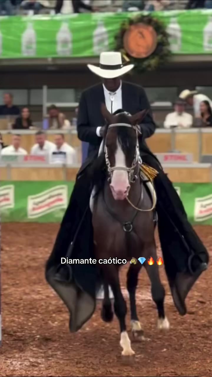 @mundo_equino04