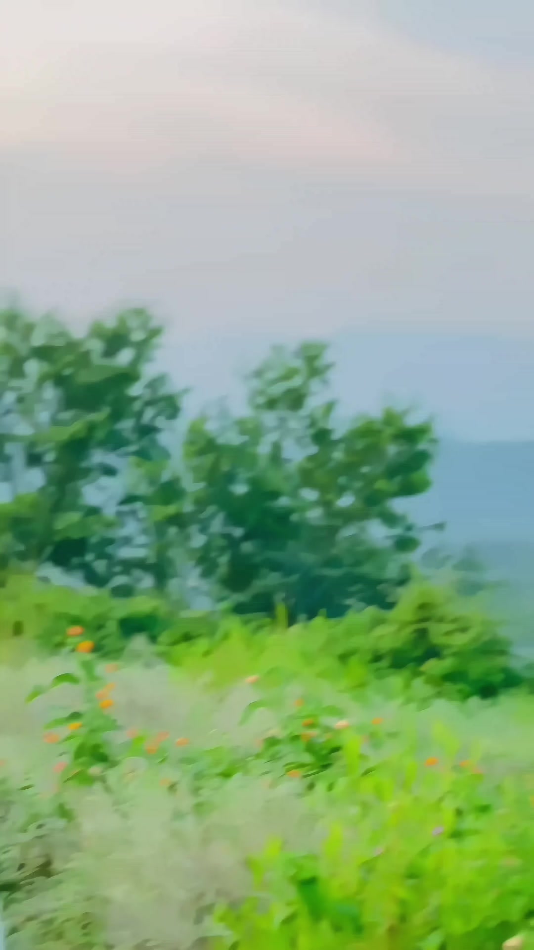 @AK✓♛