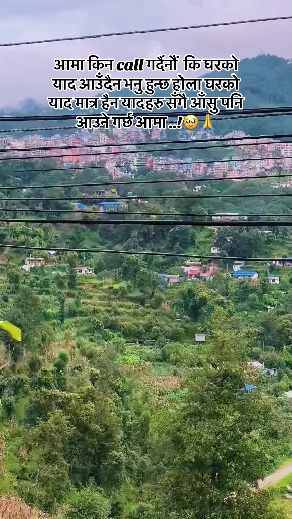 @𝐒𝐡𝐫𝐞𝐞श्री💫